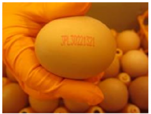 Veiligheidswaarschuwing Poolse eieren