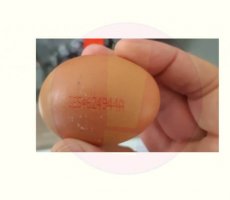 Veiligheidswaarschuwing eieren uit Spanje