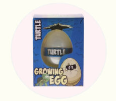 Terugroepactie Free & Easy Growing Egg Turtle (Action)